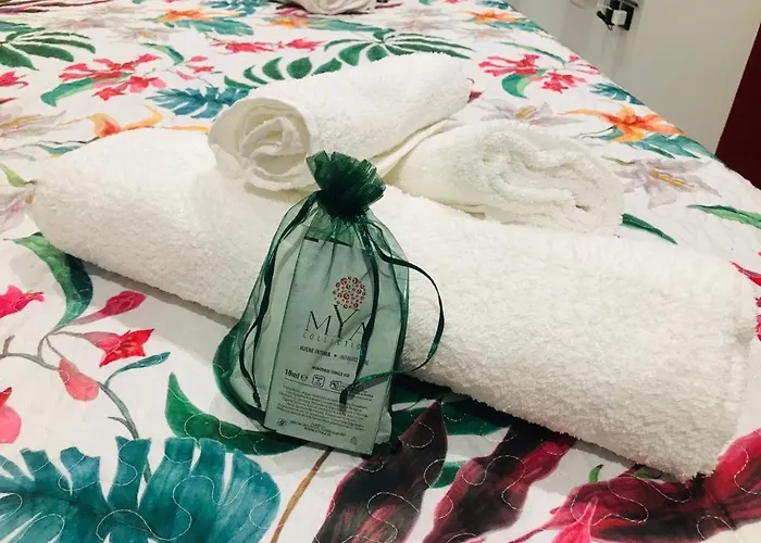 Scilla's Dream Scilla