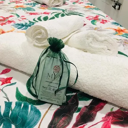 Scilla's Dream シッラ