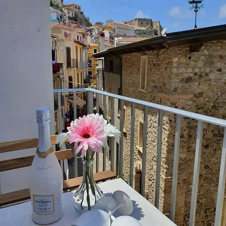 Scilla's Dream Scilla