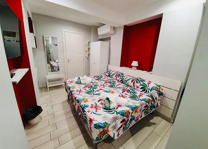 Scilla's Dream 招待所