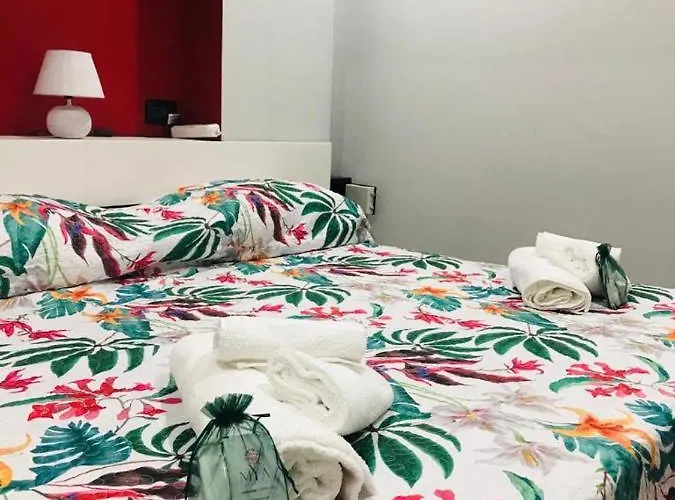 Scilla's Dream 招待所 希拉